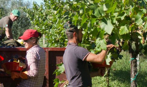 Harvest France Harvest France